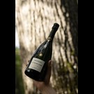 More bollinger-la-grand-annee-2015-life.jpg